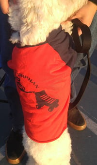 Image 1 of Skate Orphan - Raglan Dog Shirt