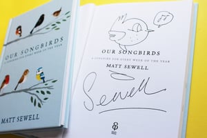Image of Our Song Birds - Signed/Drawn Hardback