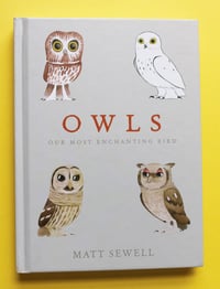 Image 1 of Owls - Sign/Drawn Hardback