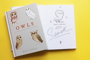 Image of Owls - Sign/Drawn Hardback