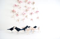 Image 5 of cocon bird 