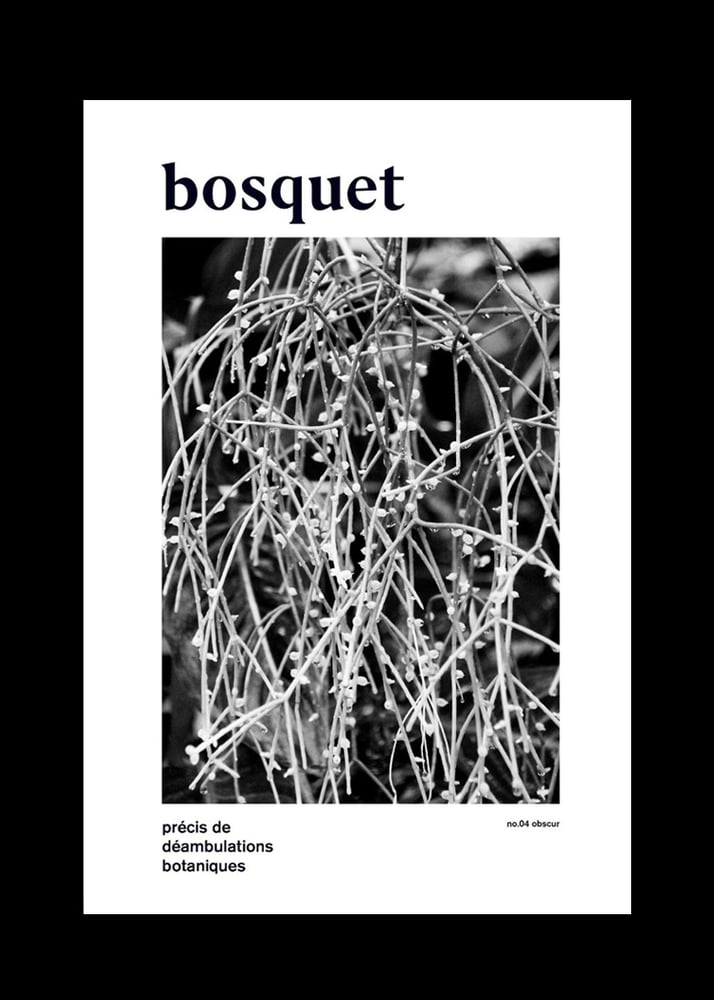Image of Bosquet no.04 obscur 