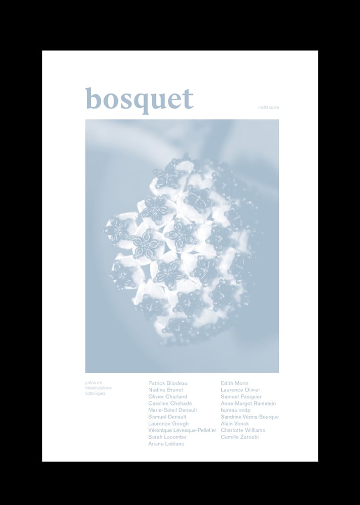 Image of Bosquet no.03 sucre