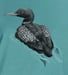 Image of Loon ladies t-shirt