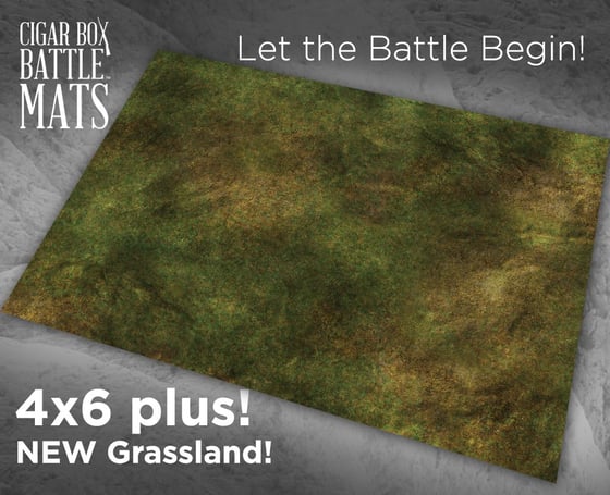 Image of Field of Battle - Grassland 2 -- 4x6 plus -- #410