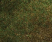 Image 2 of Field of Battle - Grassland 2 -- 4x6 plus -- #410