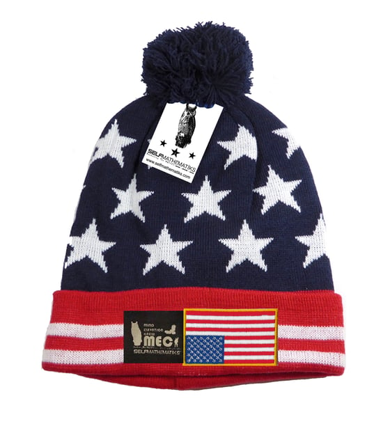 Image of "IN DISTRESS"  "THINKIN' CAP" POM SKULLY/BEANIE: 2016 PRESIDENTIAL ELECTION SPECIAL EDITION