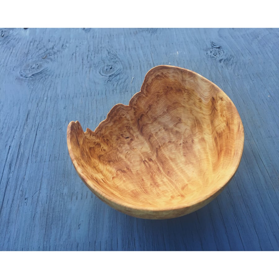 Image of Live edge yellow cedar Burl mini bowl