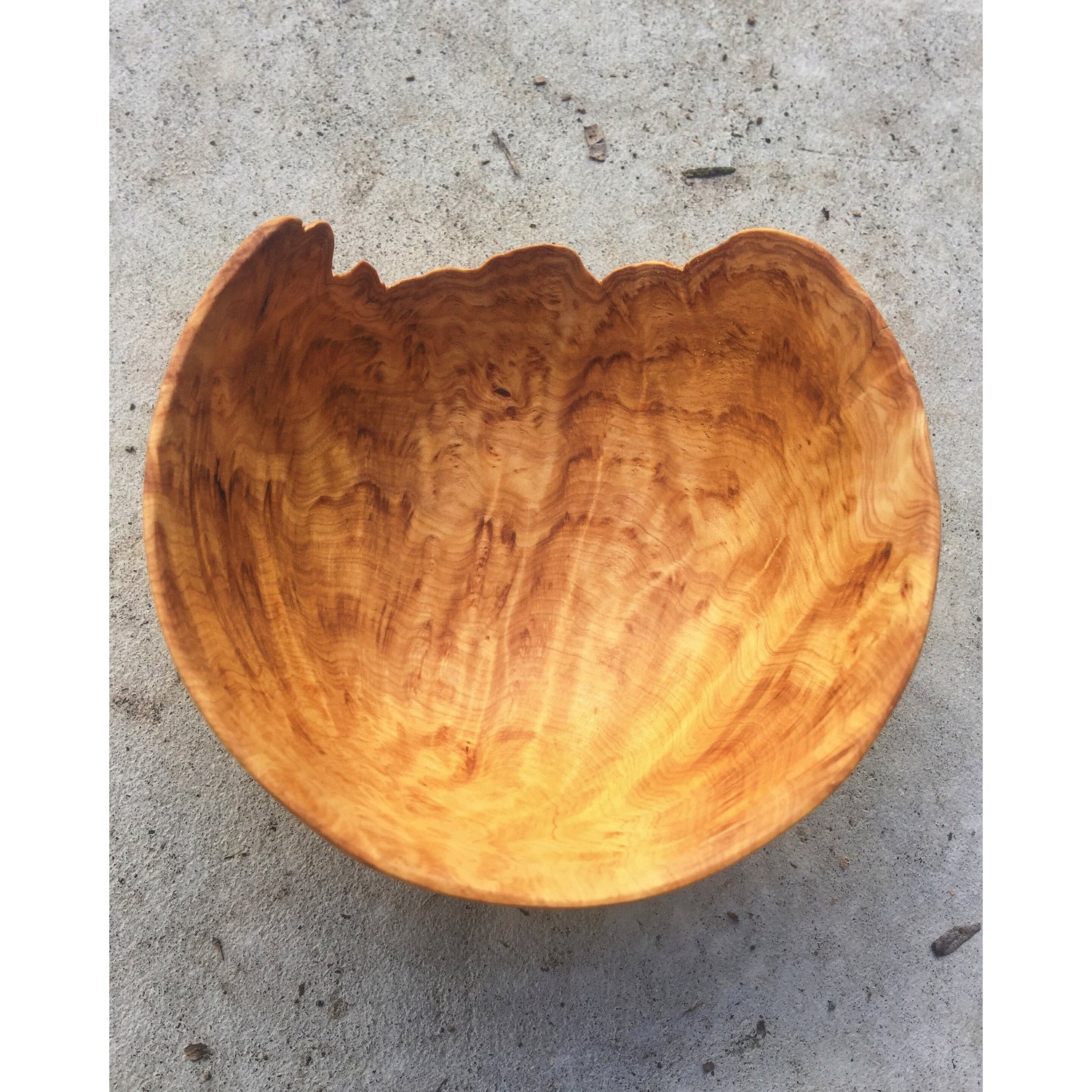 Image of Live edge yellow cedar Burl mini bowl