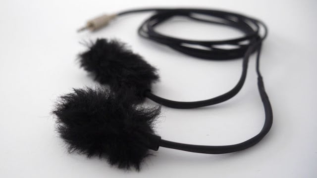 Image of Omnidirectional Stereo Microphones (Primo ECM 172) + Windshields