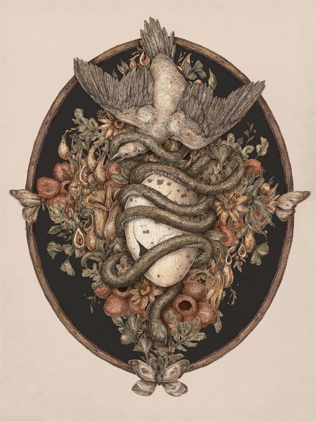 Postcards | Jessica Roux