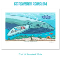 Image 3 of 3. Merewether Aquarium A4 digital prints Nine to Eleven