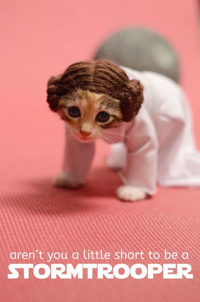 Image of Poster - Kitty Leia