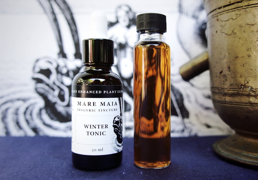 Image of WINTER TONIC BLEND spagyric tincture - alchemically enhanced plant extraction