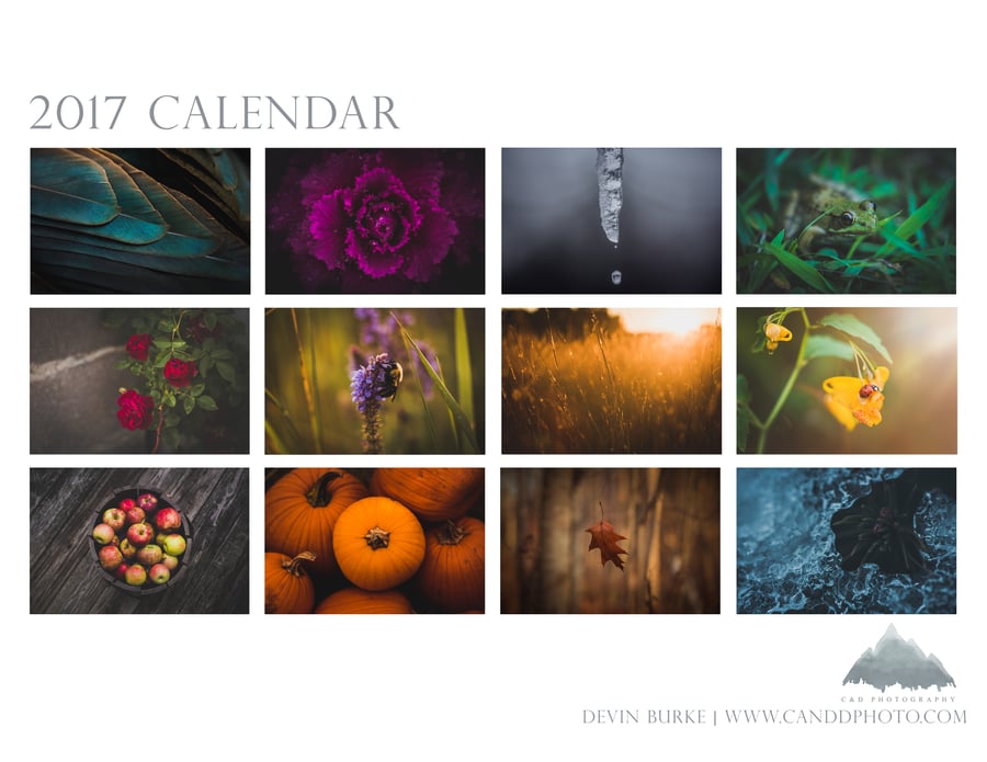 Image of 2017 Calendar 