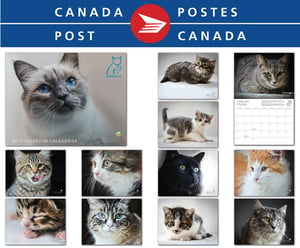 Image of PetitsPawz 2017 Cat Calendar  - Shipped by Canada Post