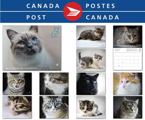 Image of PetitsPawz 2017 Cat Calendar - Shipped by Canada Post