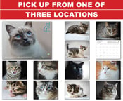 Image of PetitsPawz 2017 Cat Calendar  - Pickup - No Shipping