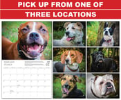 Image of PetitsPawz 2017 Dog Calendar - Pickup - No Shipping