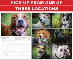 Image of PetitsPawz 2017 Dog Calendar - Pickup - No Shipping