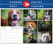 Image of PetitsPawz 2017 Dog Calendar - Shipped by Canada Post