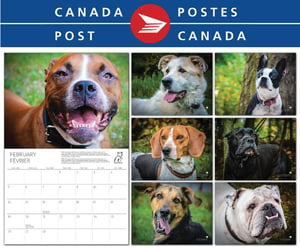 Image of PetitsPawz 2017 Dog Calendar - Shipped by Canada Post