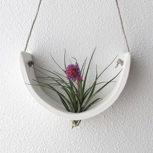 Image of Hanging Ceramic Air Plant Cradle White Earthenware