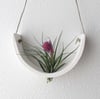 Hanging Ceramic Air Plant Cradle White Earthenware