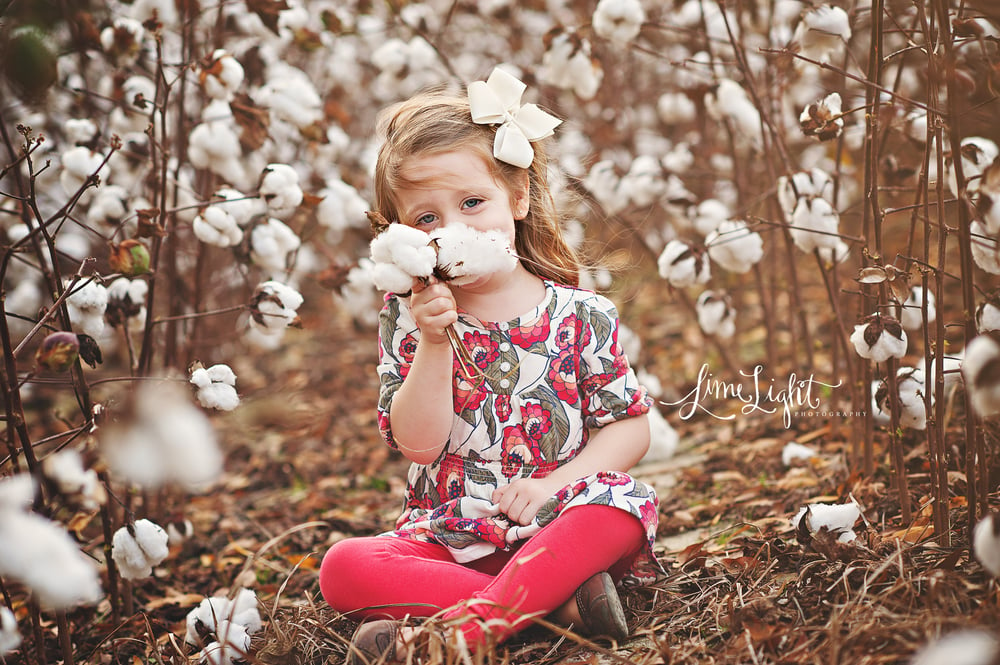 Image of Cotton Field Mini Session