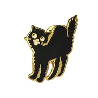 Image 3 of Scaredy Cat Pin