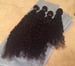 Image of Brazil - Curly - 3 Bundles