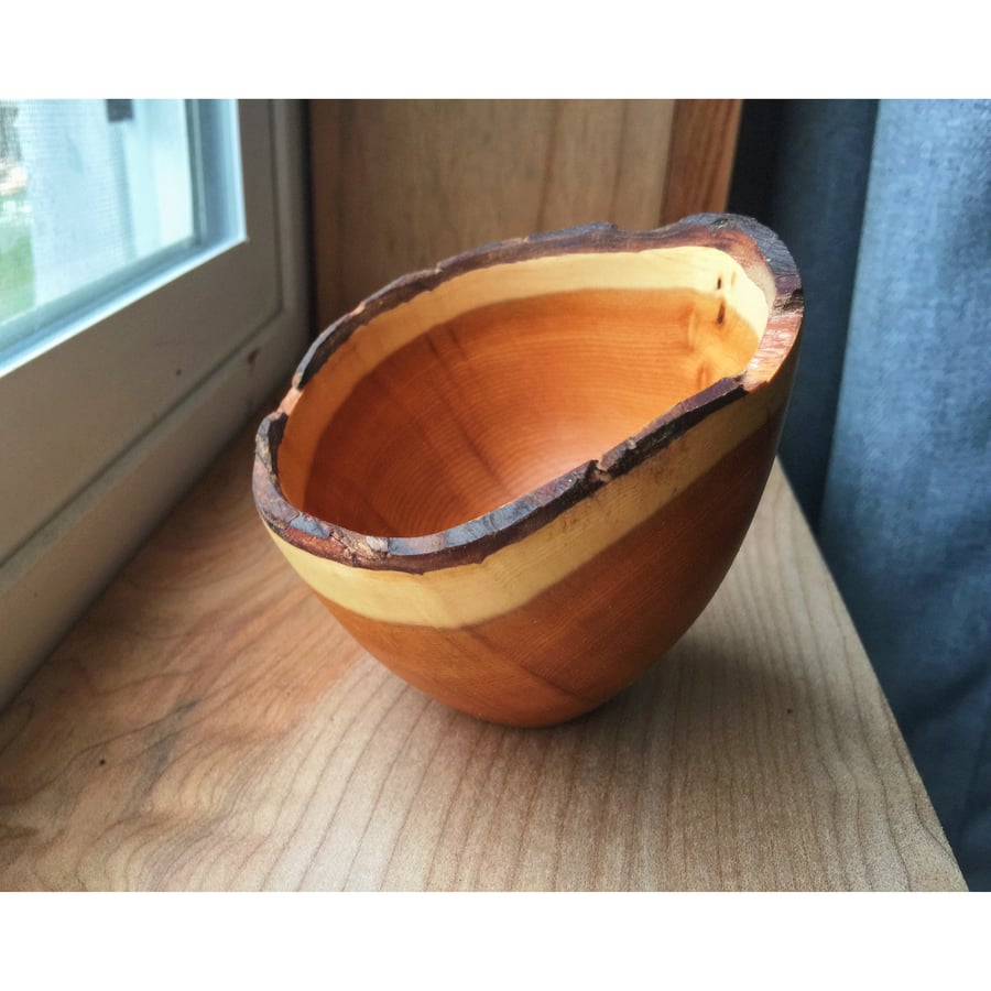 Image of Live edge yew wood mini bowl