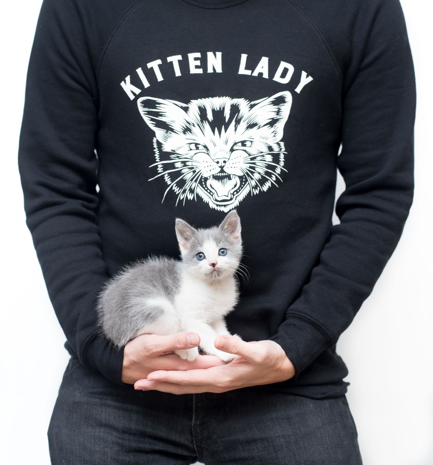 Kitten sweatshirt sale