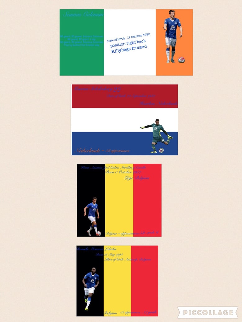 Image of 4 hand signed prints/Seamus Coleman Romelu Lukaku maarten Stekelenburg Kevin mirallas