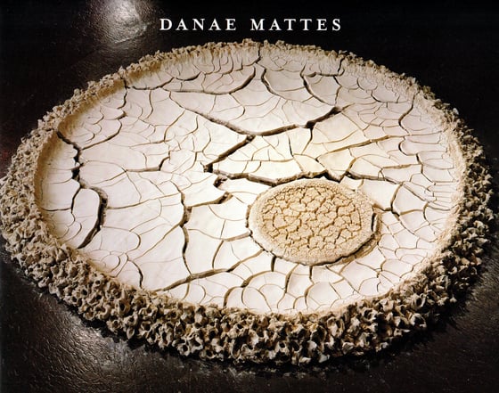 Image of Danae Mattes: The Sibyl Series and Other Permeable Objects
