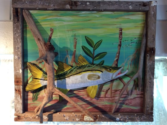 Image of 3-d snook painting
