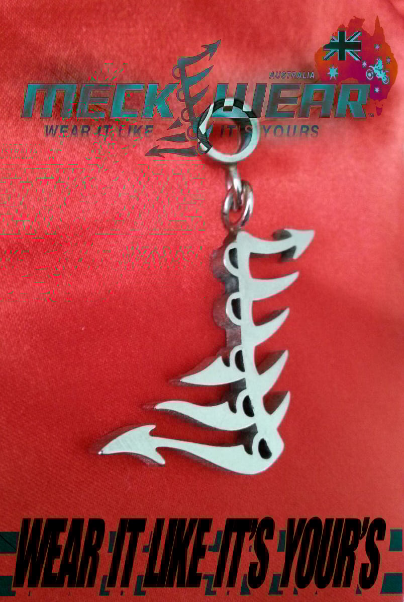 Image of MW Spinal Pendant