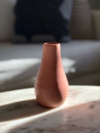 Image 1 of Big Bloom Theory