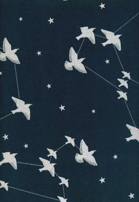 Image 2 of Star-ling Wallpaper - Midnight & Silver