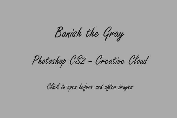 Image of PS CS2-CC : Banish the Gray © Son Kissed Photography