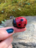 Giggling Ladybug