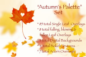 Image of Autumn's Palette Set