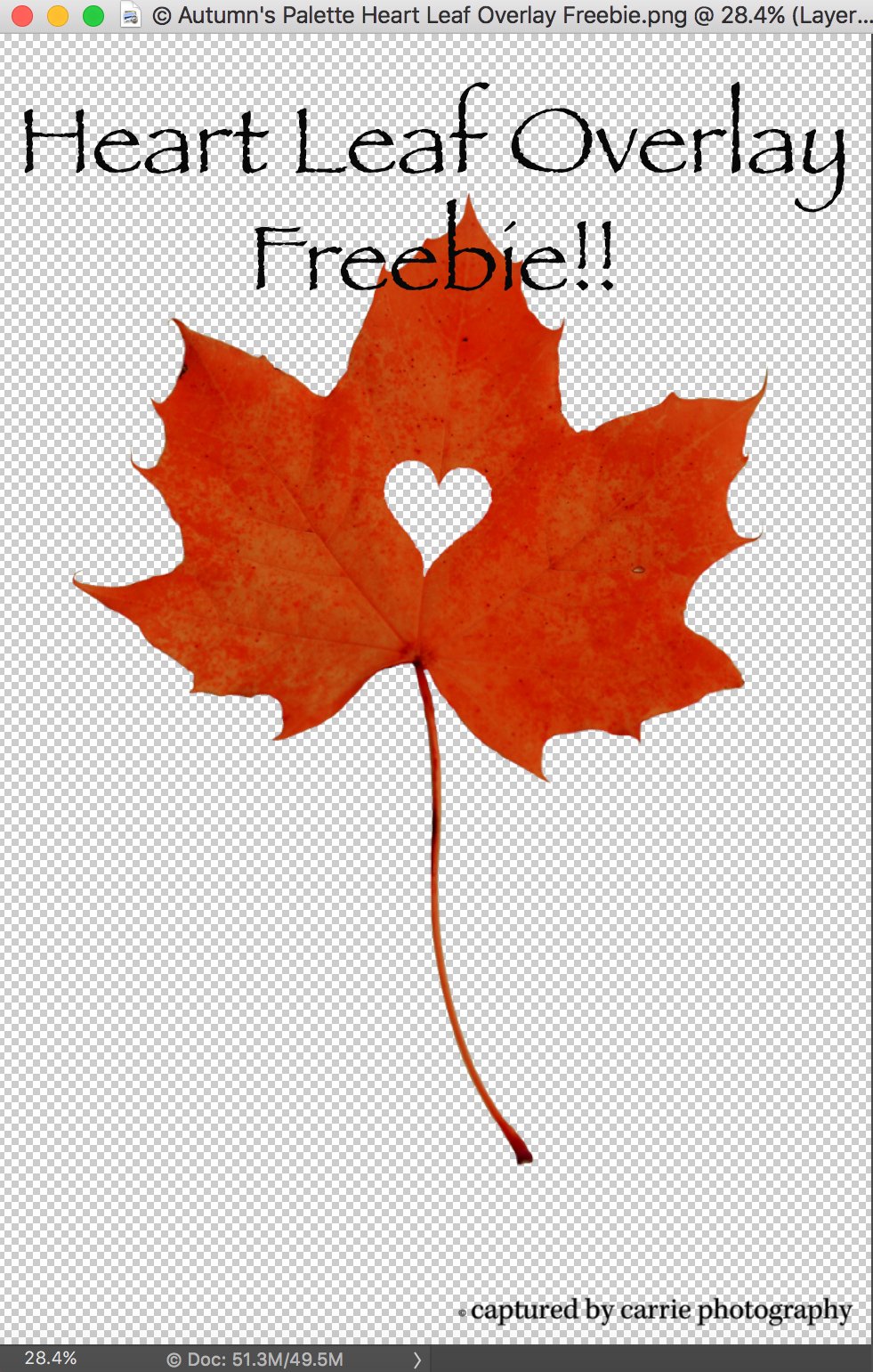 Image of Heart Leaf Overlay FREEBIE