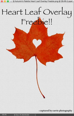 Image of Heart Leaf Overlay FREEBIE