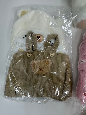Image of 2 Get Hug Bears with 4 outfits Free Shipping 