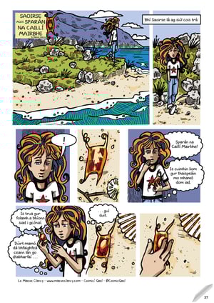 Image of Ruaille Buaille Imleabhar 2