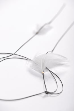 Image of Long Feather Necklace