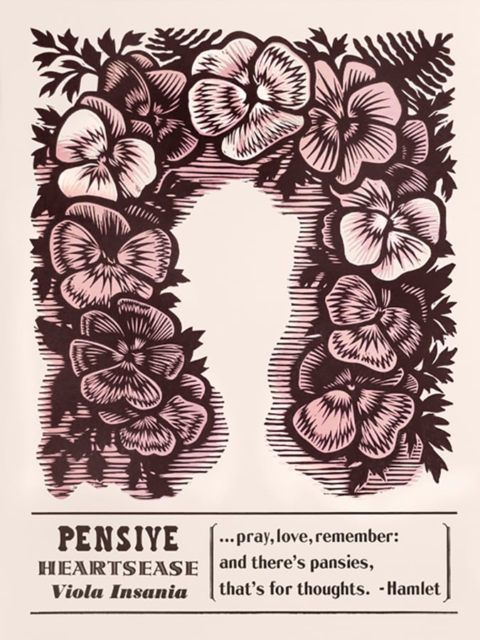 Image of Pensive Heartsease