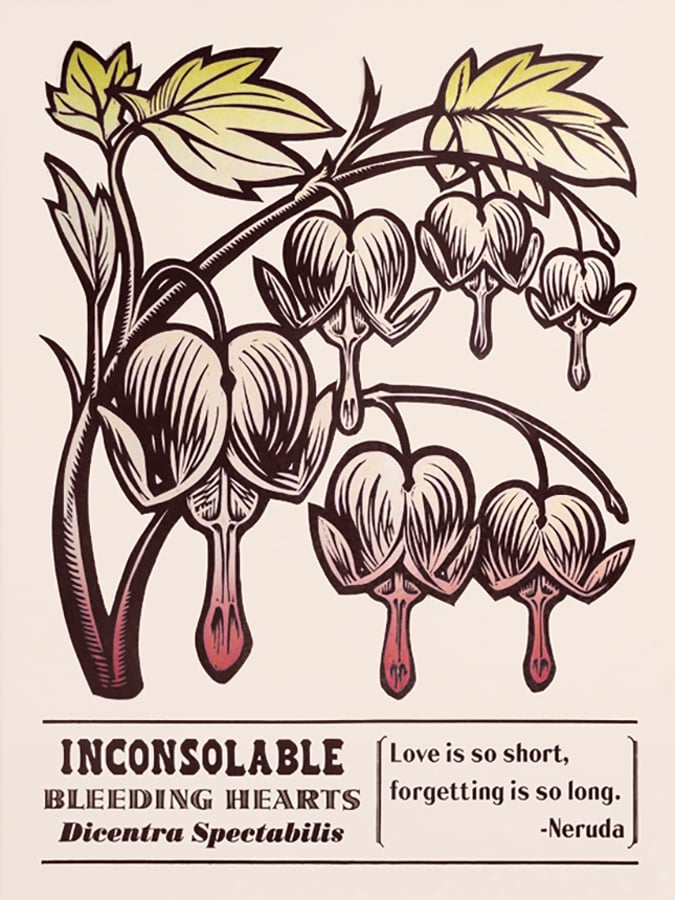 Image of Inconsolable Bleeding Hearts