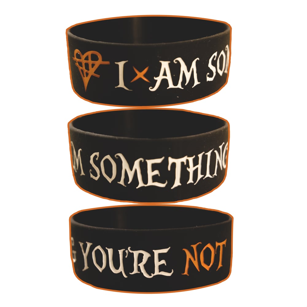 Image of "I am something you're not" AND Farewell Family - Wristband